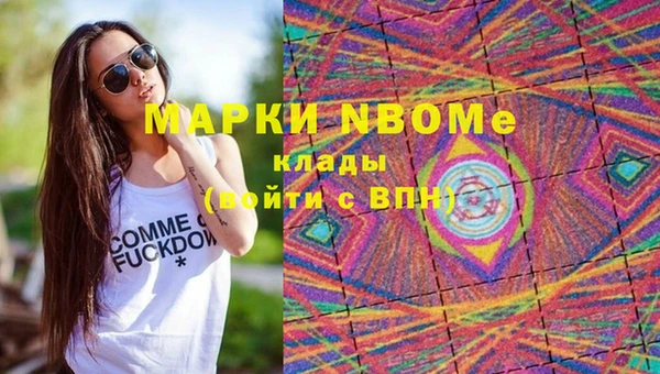 винт Алзамай