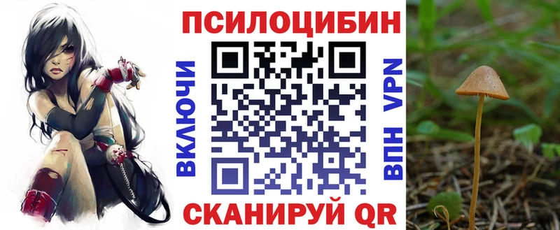 Галлюциногенные грибы Magic Shrooms цена гидра Дербент