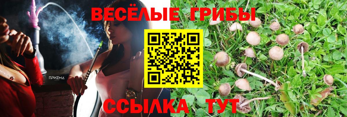 Галлюциногенные грибы MAGIC MUSHROOMS  Вход с VPN  Галлюциногенные грибы MAGIC MUSHROOMS  Дербент 